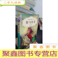 正 九成新中外动物小说精品(升级版):野马传奇