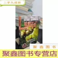 正 九成新荒野求生:怪鳄河谷的远古壁画