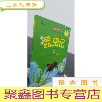 正 九成新出色的田园歌手:蟋蟀(彩图注音版)/法布尔昆虫记