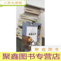 正 九成新灰熊瓦普/西顿野生动物故事集