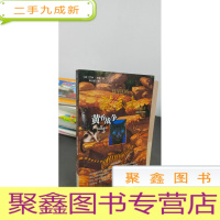 正 九成新猫武士二部曲之5:黄昏战争