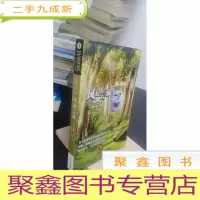 正 九成新猫武士4-风起云涌