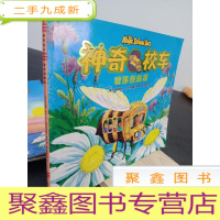 正 九成新奇妙的蜂巢。