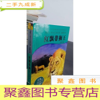 正 九成新红飘带狮王