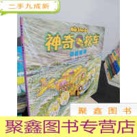 正 九成新穿越飓风