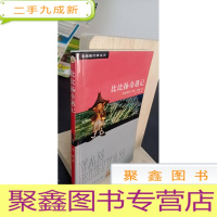 正 九成新比比扬奇遇记:双桅船经典童书