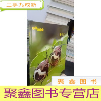 正 九成新生命的故事 第3辑:诞生了!蝽