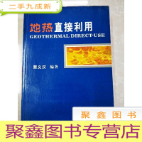 正 九成新HI2051933 地热直接利用
