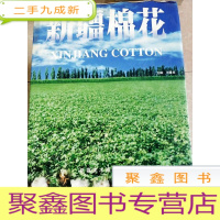 正 九成新HC5001125 新疆棉花