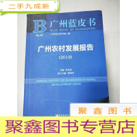正 九成新EA4008807 广州农村发展报告 2019--B广州蓝皮书