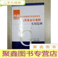 正 九成新DX112209 内部会计控制规范及监控技术与具体会计准则实用范例 3