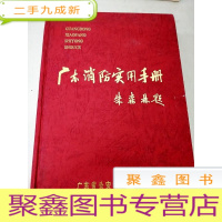 正 九成新DC506203 广东消防实用手册[一版一印]