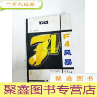 正 九成新DA141826 F4风暴[一版一印][书面略有污渍,内略有水渍,书尾封面略有破损]