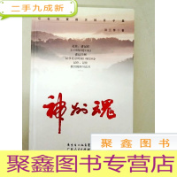 正 九成新DA110104 神州魂(一版一印)