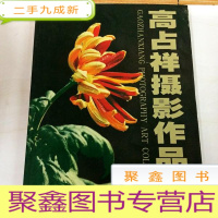 正 九成新I104382 高占祥摄影作品集(菊花卷)(铜版纸)