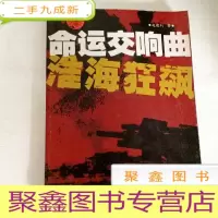 正 九成新B103986 命运交响曲--淮海狂飙(一版一印)
