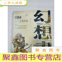 正 九成新幻想画大师图典