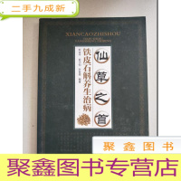 正 九成新仙草之首:铁皮石斛养生治病