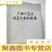 正 九成新广西及邻区泥盆纪生物地层