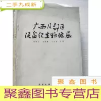 正 九成新广西及邻区泥盆纪生物地层