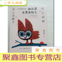 正 九成新猫头鹰在黄昏起飞