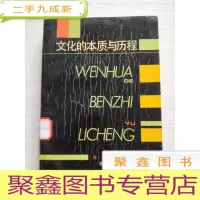 正 九成新文化的本质与历程