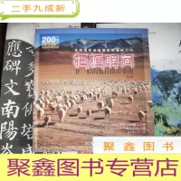 正 九成新把握瞬间:非一般的旅行摄影指南