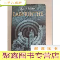正 九成新KATE MOSSE LABYRINTHE[外文 自鉴]