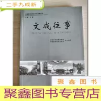 正 九成新文成往事