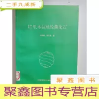 正 九成新塔里木盆地轮藻化石[馆藏 ]