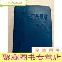 正 九成新常用中草药图谱[64开蓝塑皮,396+228彩页+64页,彩色插图]馆藏4印