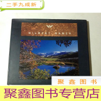 正 九成新[外文原版]wildcat ranch野猫的牧场