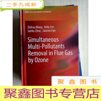 正 九成新臭氧烟气多种污染物协同脱除原理与技术 : 英文