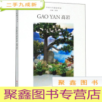 正 九成新高岩/中国当代摄影图录[·未拆封]