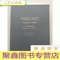 正 九成新中国石炭纪地层及标志化石图集