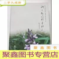 正 九成新浙大校园野草野花[]