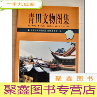 正 九成新青田文物图集