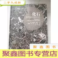 正 九成新化石 洪荒时代的印记[本 未拆封]