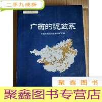 正 九成新广西的泥盆系:广西地层之一