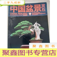 正 九成新中国盆景赏石:第21回华风盆栽展专辑