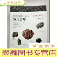 正 九成新岁月菁华:化石档案与故事