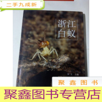 正 九成新浙江白蚁[ 品好]