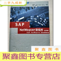正 九成新sap权限系统, SAP NetWeaver路线图[],SAP业务信息仓库 (专业版), SAP业务实践,