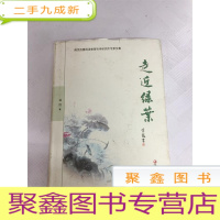 正 九成新I429488 走近绿叶(一版一印)