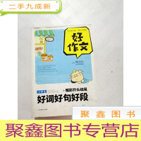正 九成新I419638 小学生好词好句好段+精彩开头结尾[一版一印]
