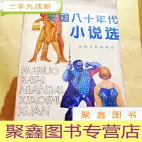 正 九成新A200162 美国八十年代小说选