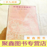 正 九成新A200133 沙漠骑士昂泰拉