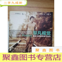 正 九成新非凡视觉:摄影大师的构思与创作