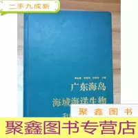 正 九成新广东海岛海域海洋生物和渔业资源