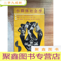 正 九成新小群体社会学